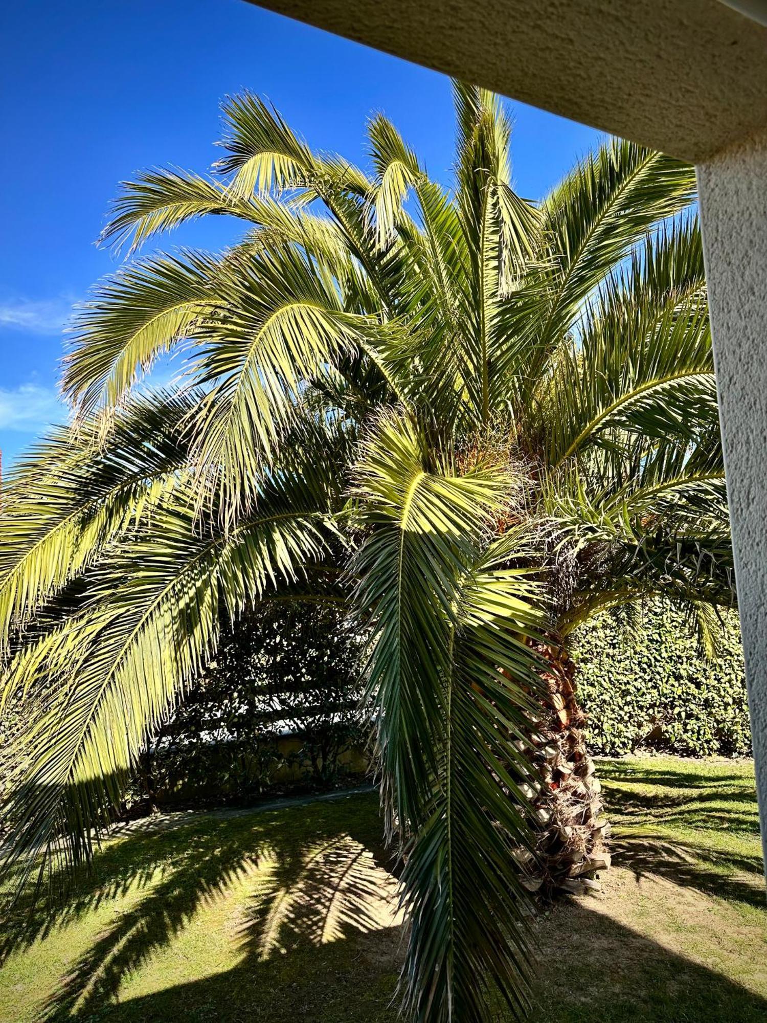 Les Palmiers Gite 7 Personnes Plages Du Debarquement Grandcamp-Maisy Exterior photo